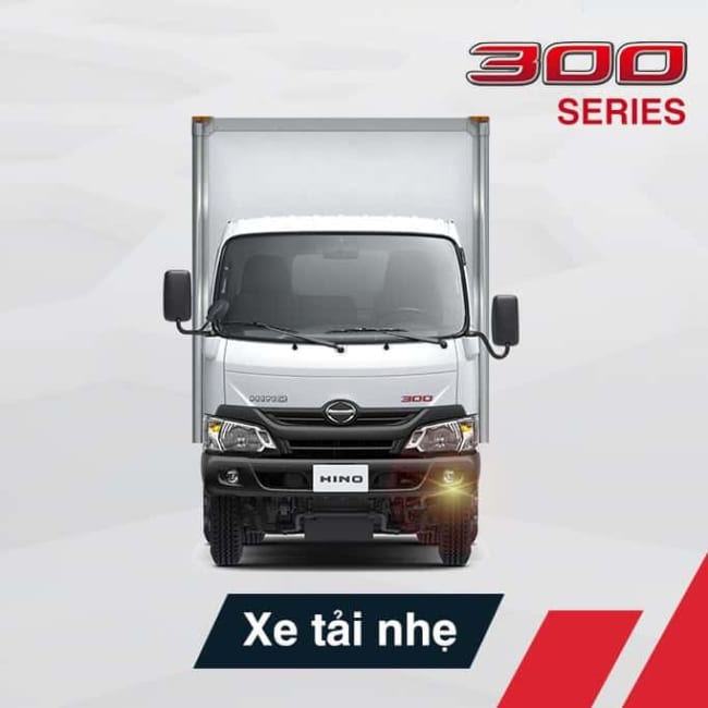 HINO DUTRO 300