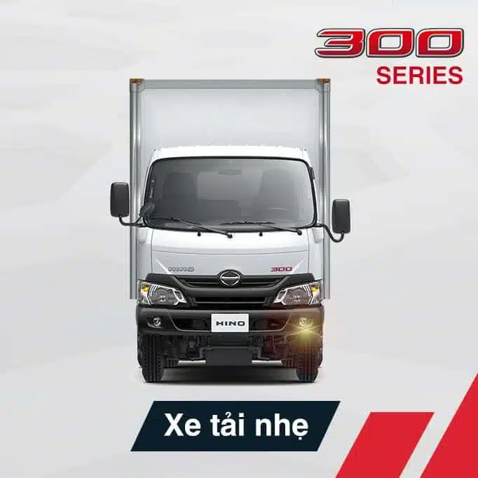 HINO DUTRO 300