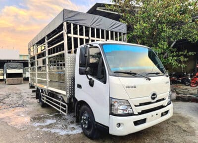 Xe Tải Hino XZU720 3.5 Tấn Thùng Chở Gia Cầm 5.2m