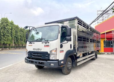 Xe Tải Isuzu FRR650 6.5 Tấn Thùng Chở Gia Súc 7.3m