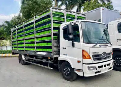 Xe Tải Hino FC9JLTC 6.5 Tấn Thùng Chở Gia Cầm