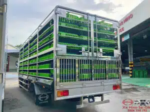 Xe Tải Hino FC9JLTC 6.5 Tấn Thùng Chở Gia Cầm